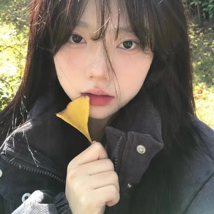 一路向南